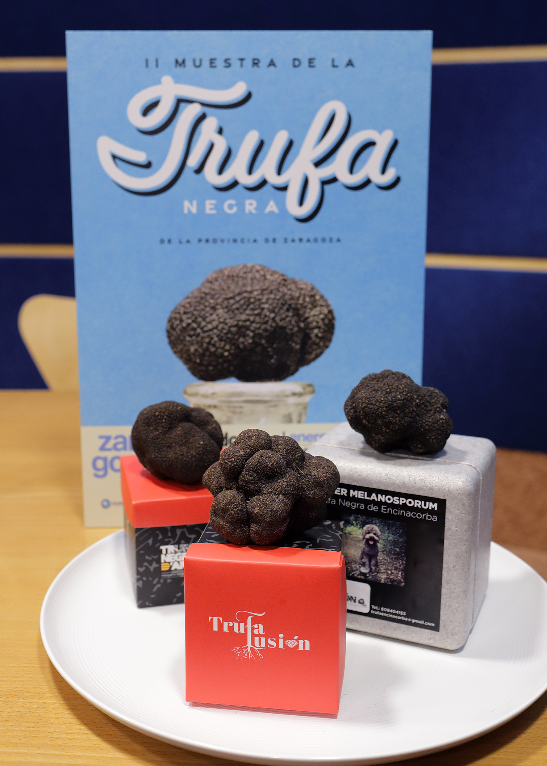 Trufa_negra_en_la_presentacin_de_la_muestra.jpg