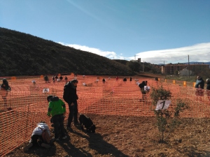 La Comarca Campo de Daroca abre las inscripciones para el cuarto Concurso Nacional de Caza de Trufa