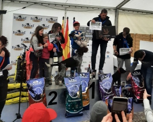 Laica, vencedora del II Concurso Nacional de perros truferos Sierra de Moncayo